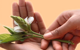 Female-infertility-package